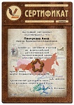 cert-2020-04-30_06-12-33-879.jpg