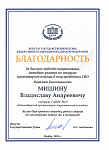 Мишин В..jpg
