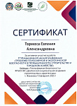 Тормоса Е.А_page-0001.jpg