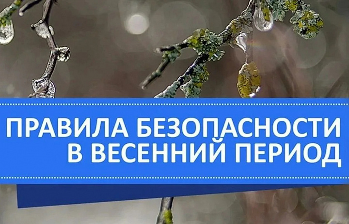 Весенняя безопасность: забота и профилактика!