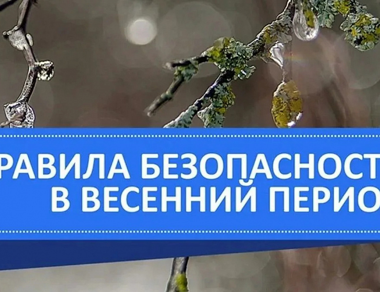 Весенняя безопасность: забота и профилактика!