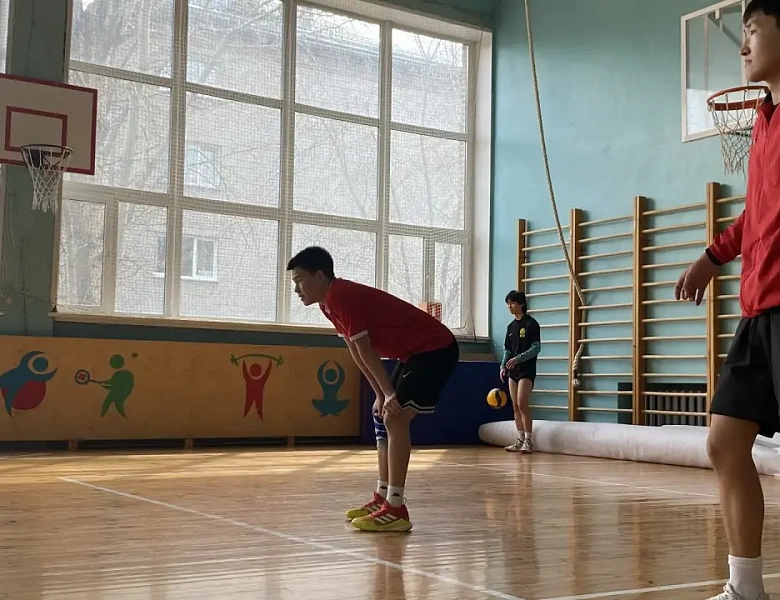 Товарищеская встреча по волейболу