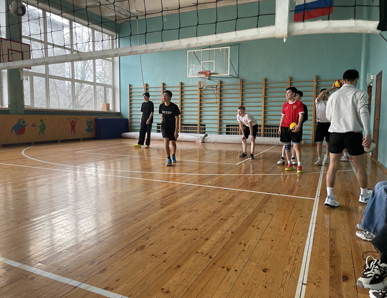 Товарищеская встреча по волейболу