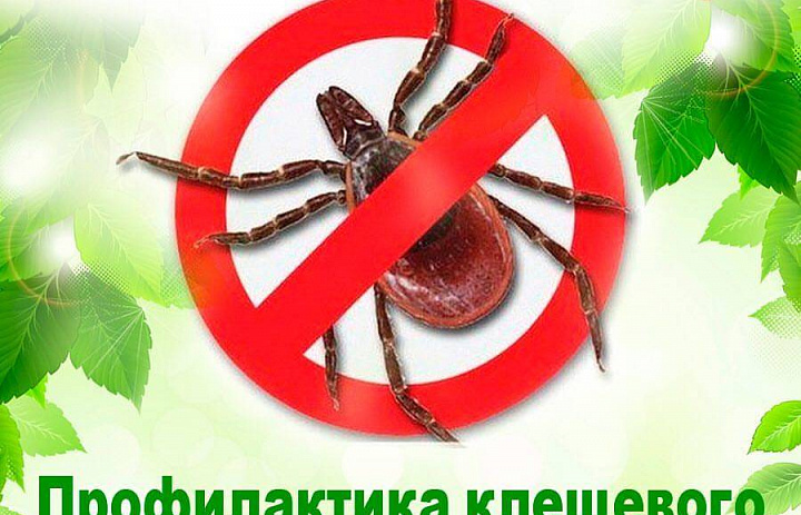 «Осторожно, клещ!»