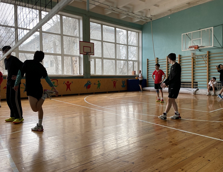 Товарищеская встреча по волейболу