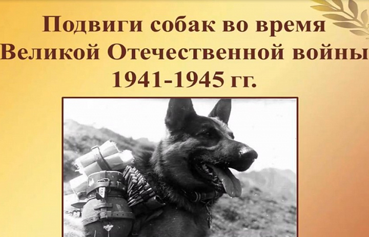 Патриотический час «Собаки-герои войны»